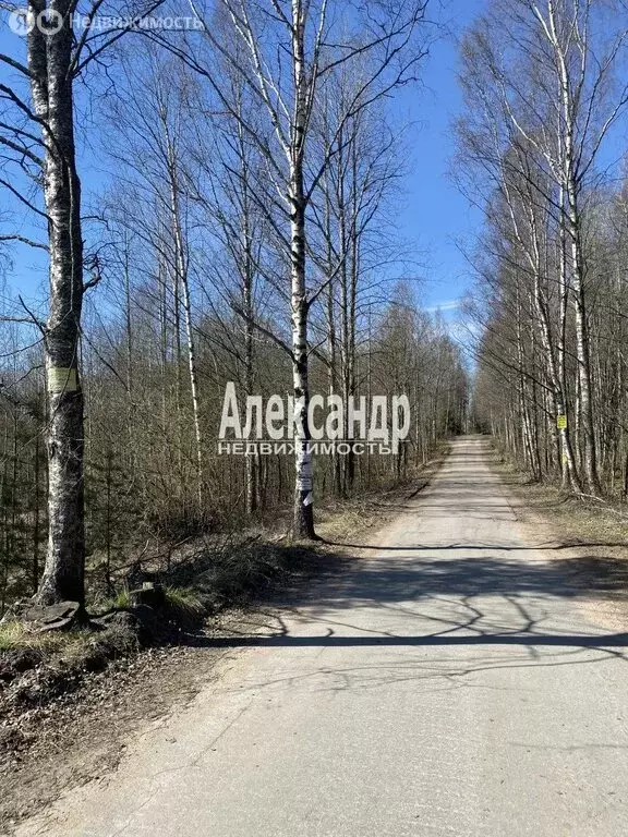 Участок в Выборг, Безмятежная улица (13.1 м) - Фото 1