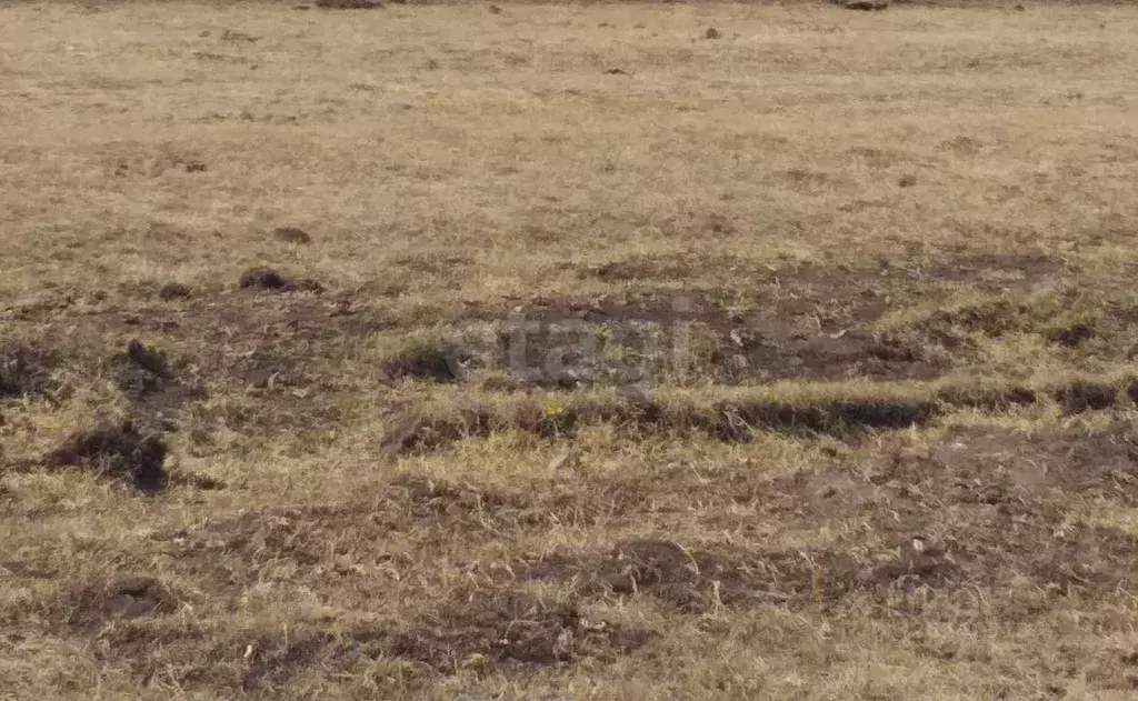 Участок в Бурятия, Заиграевский район, Дабатуйское с/пос, с. Эрхирик  ... - Фото 1