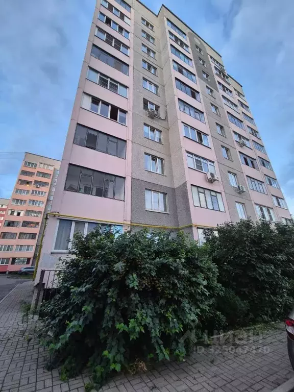 1-к кв. Курская область, Курск ул. Бойцов 9-й Дивизии, 181А (36.0 м) - Фото 2