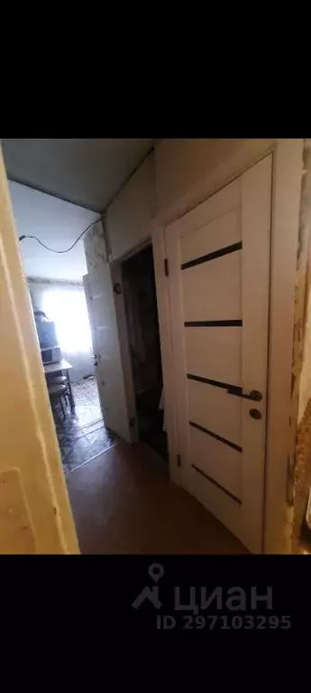 Комната Пермский край, Пермь Пушкарская ул., 81 - Фото 1