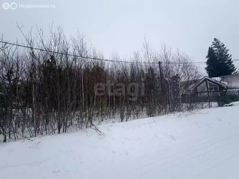 Участок в деревня Кисловка, улица Родников (15 м) - Фото 1