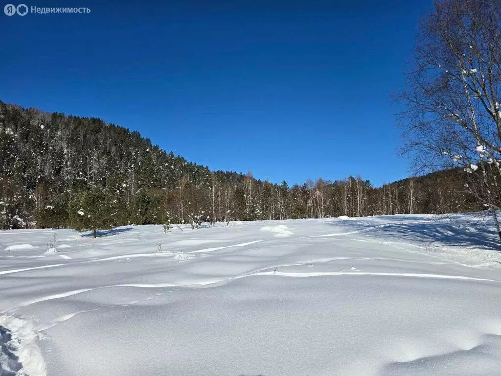 Участок в Турочакский район, село Старый Кебезень, Новая улица (5.6 м) - Фото 2