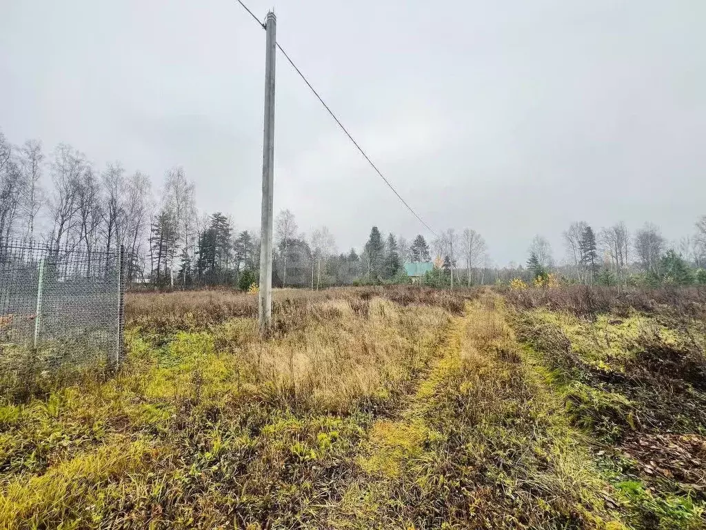Участок в Владимирская область, Петушинский муниципальный округ, ... - Фото 1