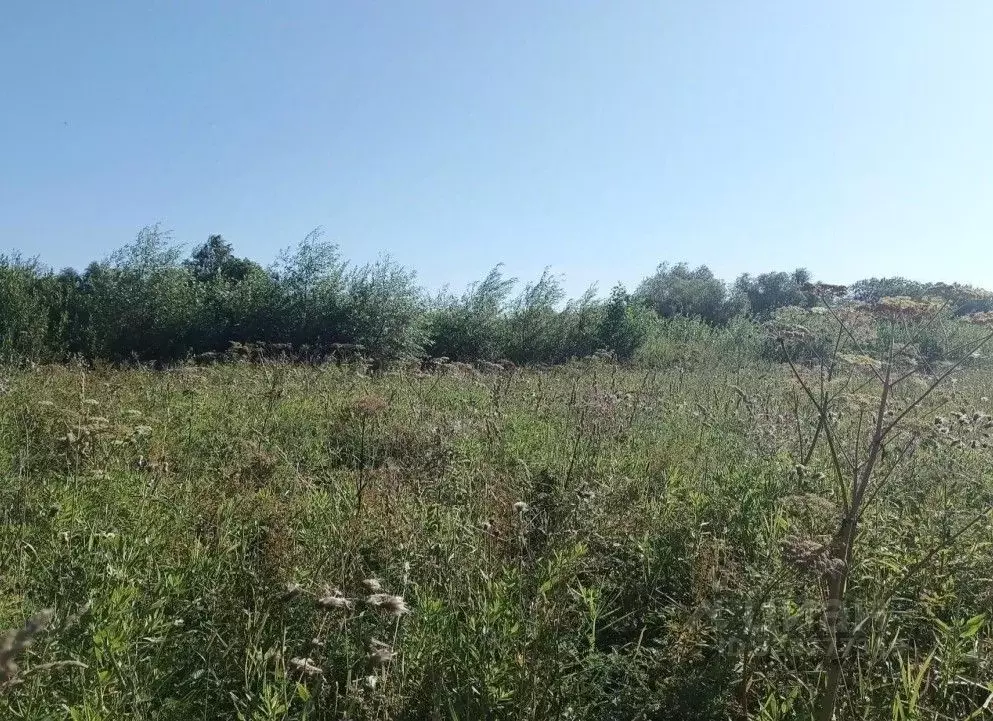 Участок в Московская область, Дмитров  (14.49 сот.) - Фото 1