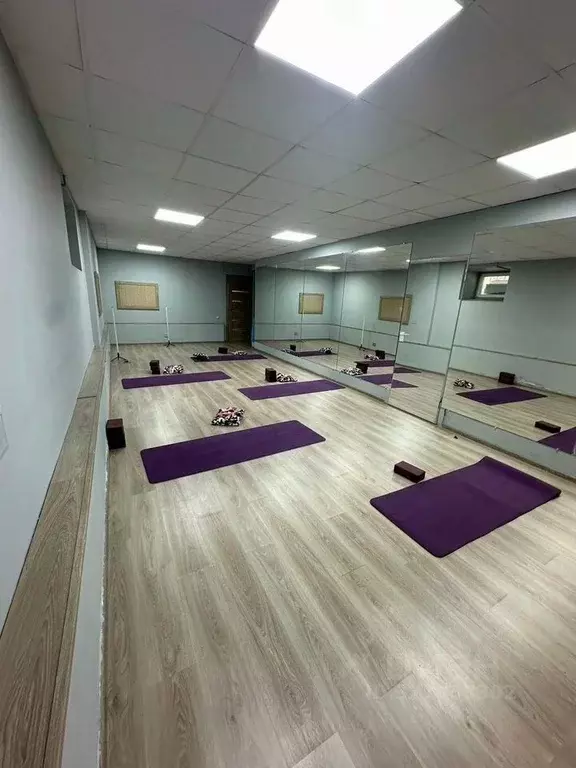 Помещение свободного назначения в Санкт-Петербург Казначейская ул., ... - Фото 2