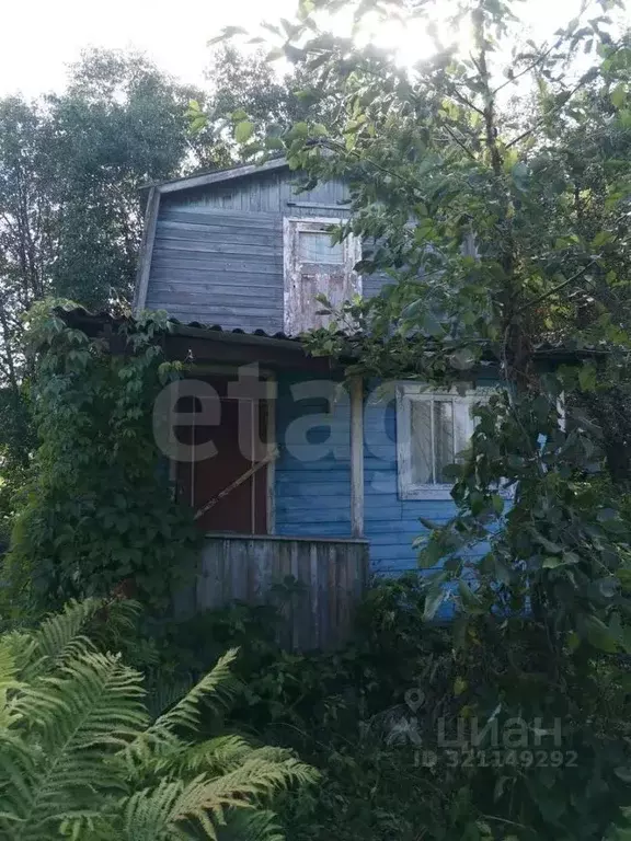 Участок в Ярославская область, Ярославль Текстильщик-2 садовое ... - Фото 2