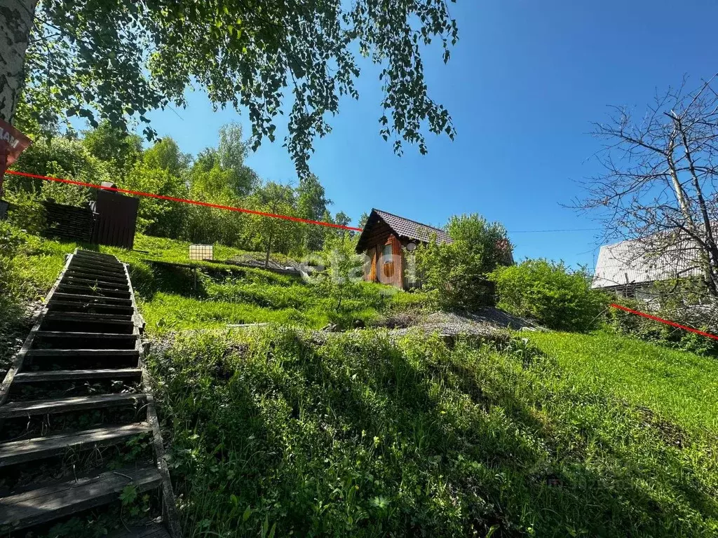 Участок в Алтай, Горно-Алтайск Сосновый Бор садоводческое ... - Фото 1