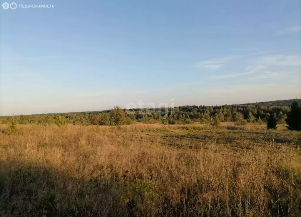 Участок в Ярославская область, сельское поселение Некрасовское, ... - Фото 1