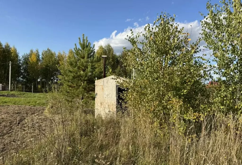 Участок в Новосибирская область, Новосибирский район, Станционный ... - Фото 2