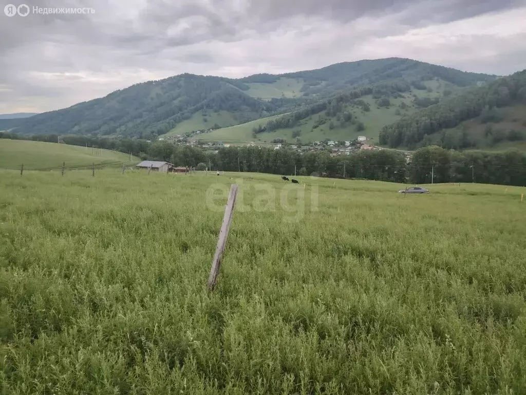 Участок в село Бирюля, Светлая улица (13 м) - Фото 2