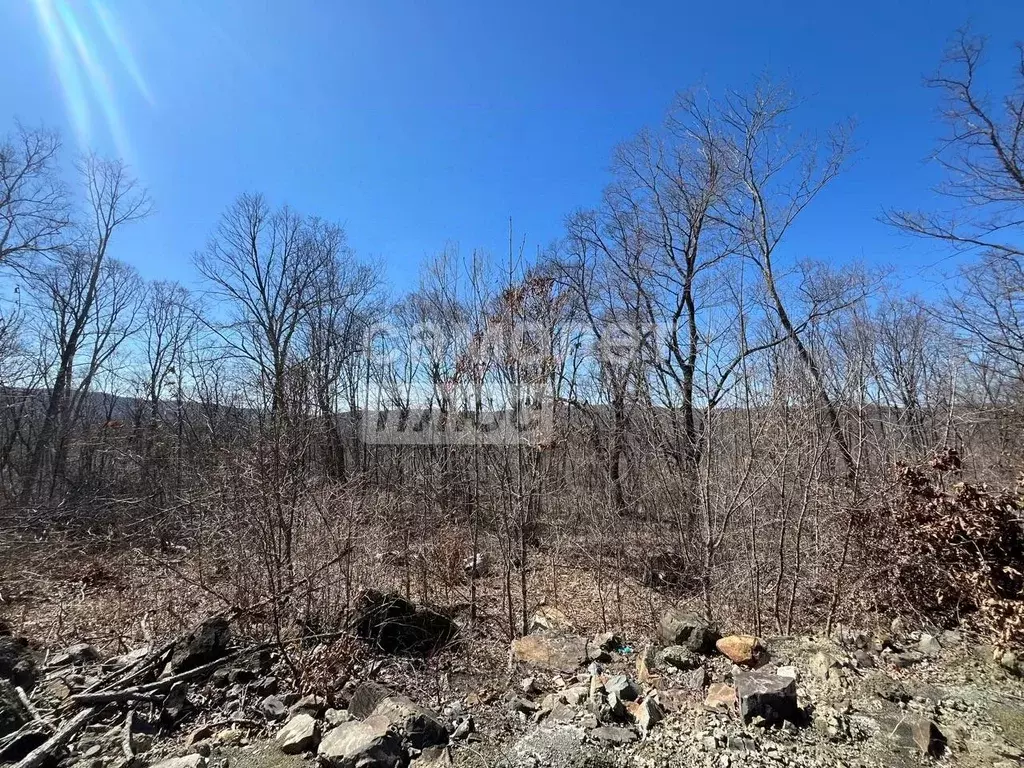 Участок в Приморский край, Фокино Вишневая ул., 11 (20.0 сот.) - Фото 1