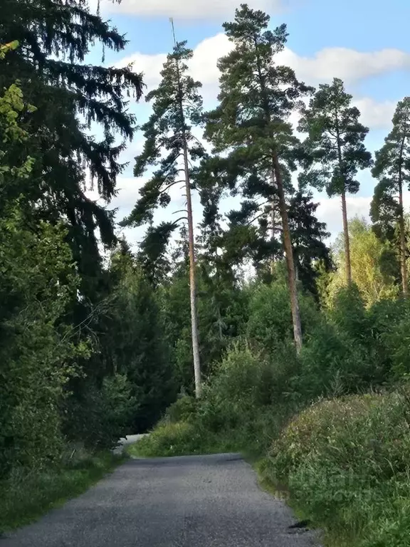 Участок в Московская область, Звенигород Одинцовский городской округ,  ... - Фото 2