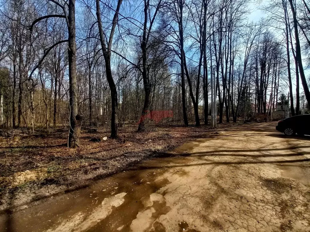 Продается участок в д. Садки - Фото 0