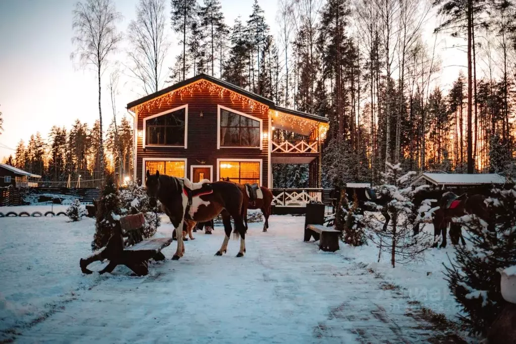 Дом в Санкт-Петербург пос. Песочный, 4-й кв-л, 74 (261 м) - Фото 0