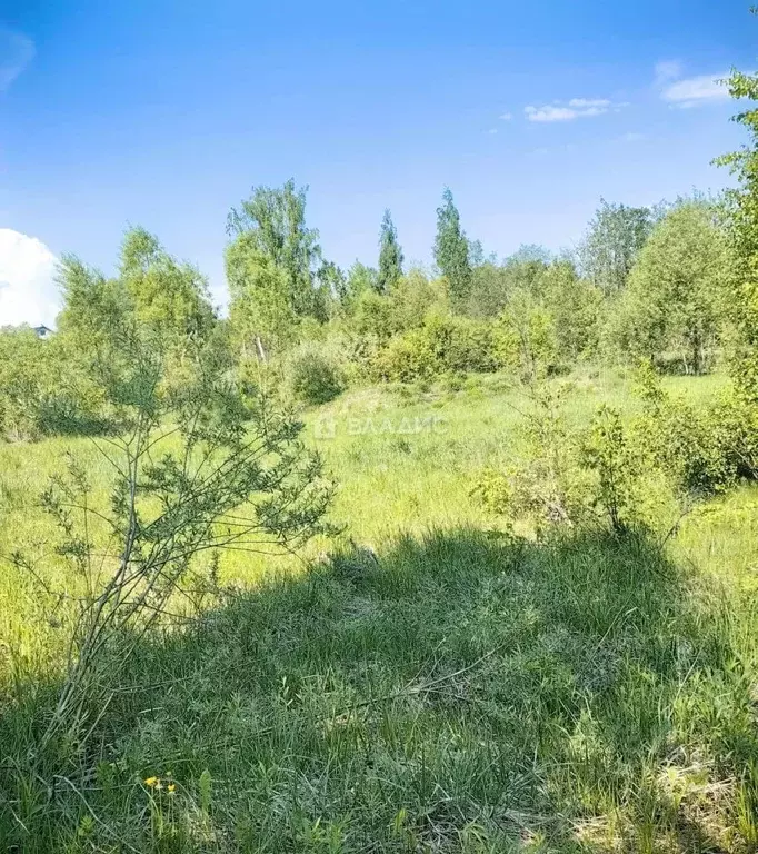 Участок в Ярославская область, Рыбинский муниципальный округ, д. ... - Фото 2