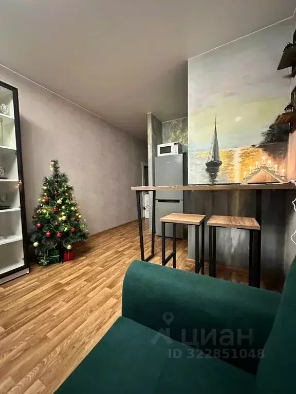 Студия Псковская область, Остров ул. Освобождения, 7А (27.0 м) - Фото 1