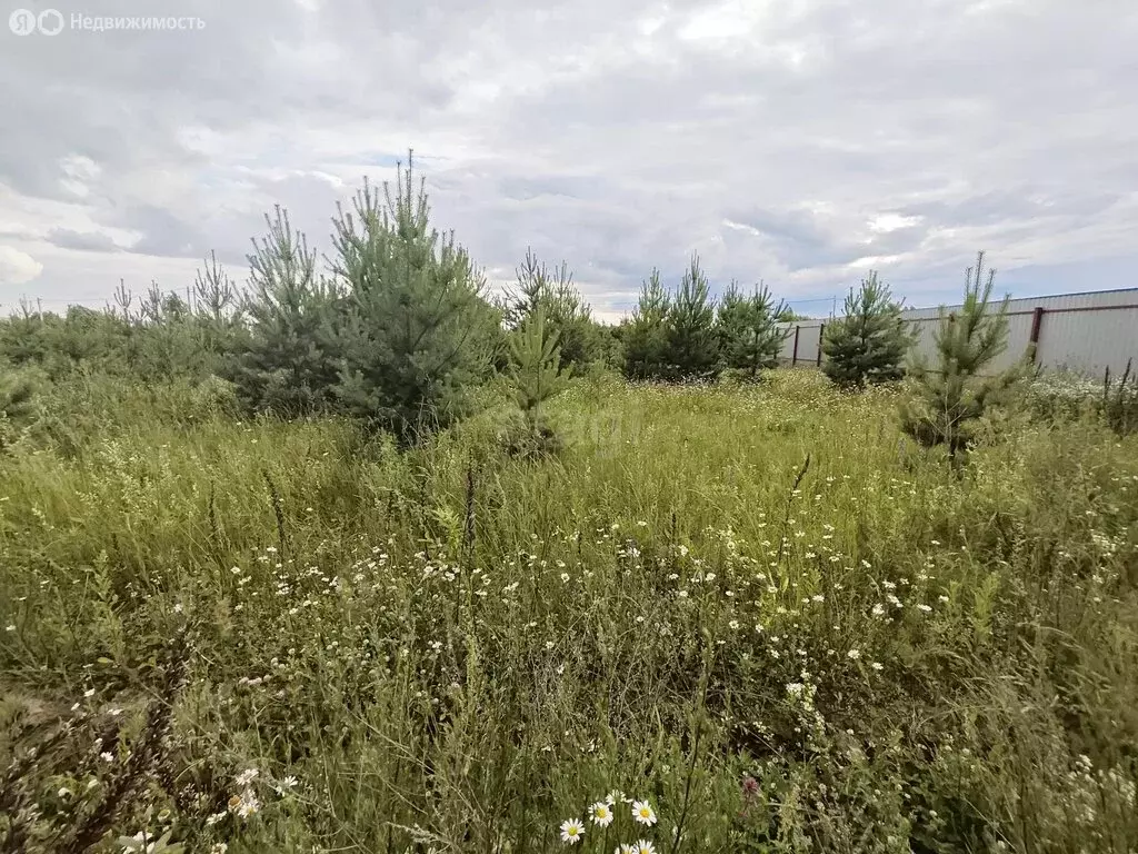 Участок в Московская область, Раменское (14.23 м) - Фото 2