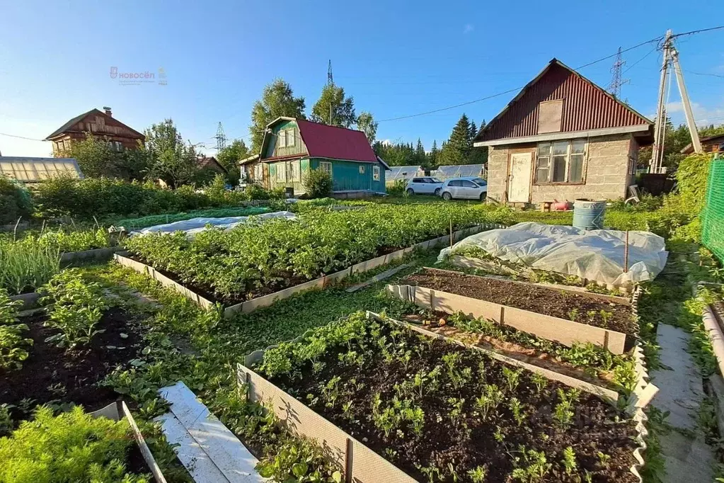 Дом в Свердловская область, Ревда Заря-2 СОТ,  (24 м) - Фото 1