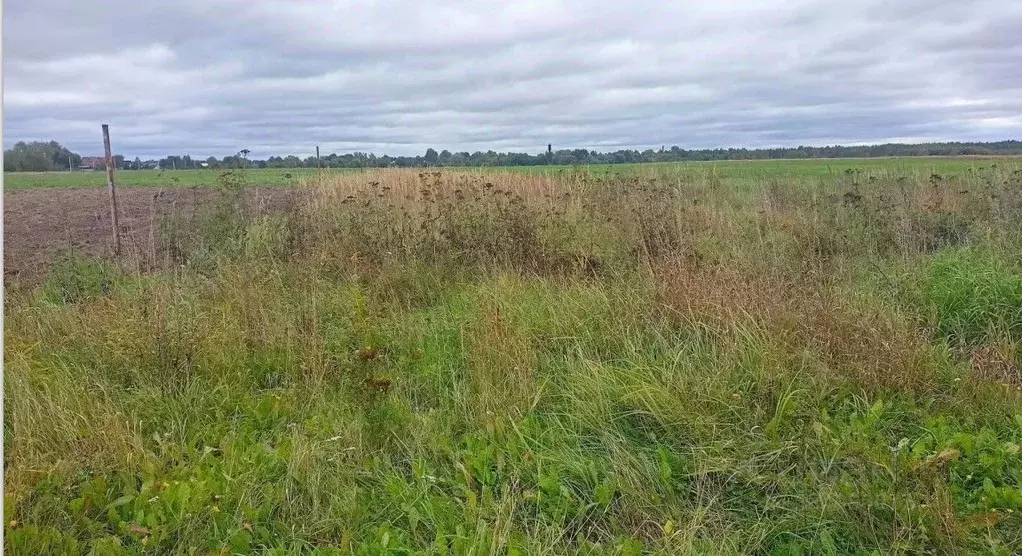 Участок в Московская область, Орехово-Зуевский городской округ, д. ... - Фото 1