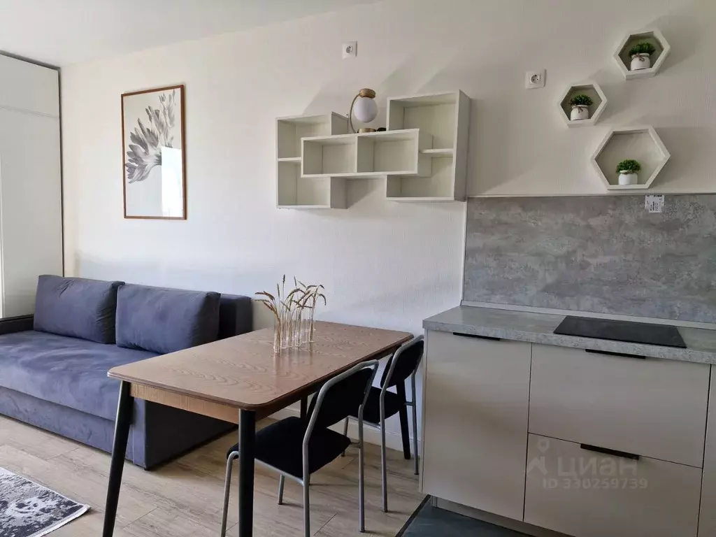Студия Москва ул. Красного Маяка, 26А (28.0 м) - Фото 2