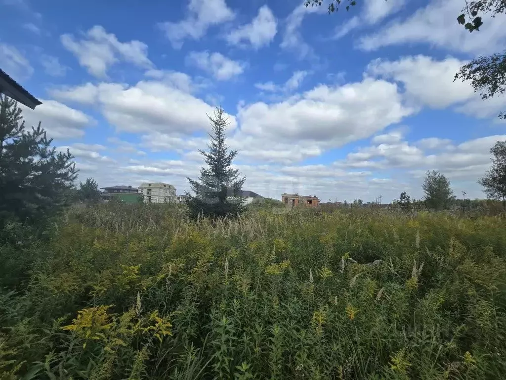 Участок в Москва Ели кп,  (6.1 сот.) - Фото 2