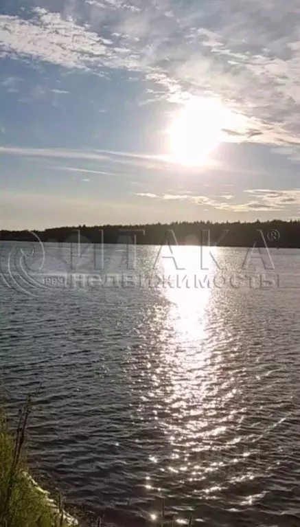 Участок в Ленинградская область, Лодейное поле ш. Ленинградское, 60 ... - Фото 0