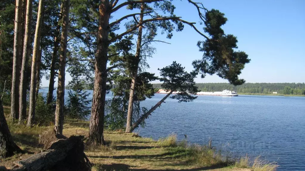 Участок в Ярославская область, Мышкинский район, Охотинское с/пос, д. ... - Фото 2