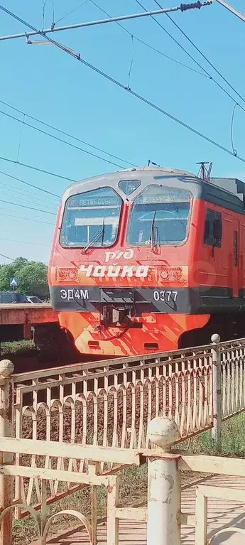Участок 15 сот. (ИЖС) - Фото 1