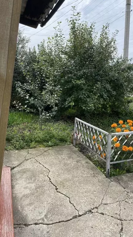 Дом в Алтайский край, Топчихинский район, с. Топчиха пер. ... - Фото 1