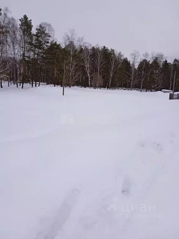 Участок в Алтай, Турочакский район, с. Озеро-Куреево Новая ул., 8 ... - Фото 0