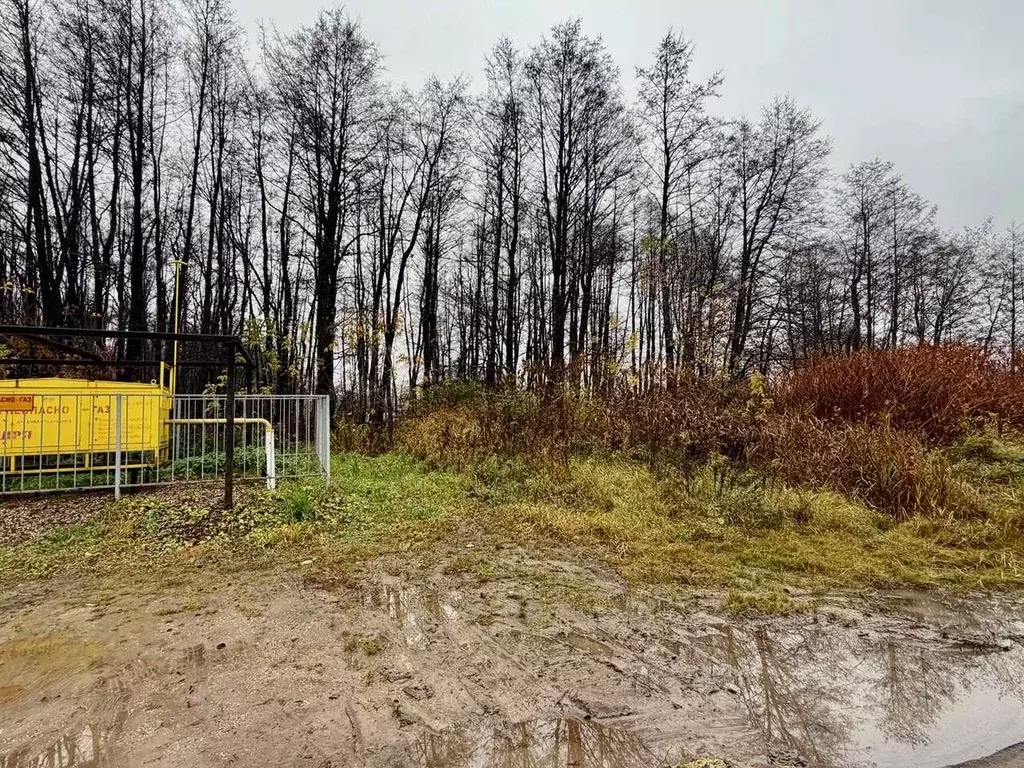 Участок в Московская область, Щелково городской округ, д. Долгое ... - Фото 1