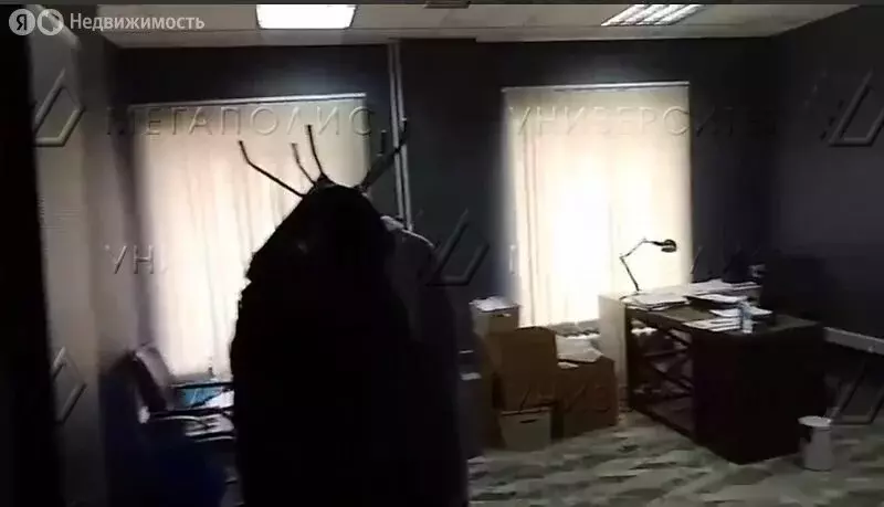 Офис (67 м) - Фото 1