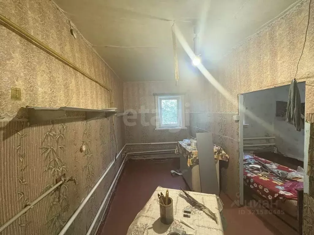 Дом в Белгородская область, Корочанский район, Кощеевское с/пос, с. ... - Фото 1