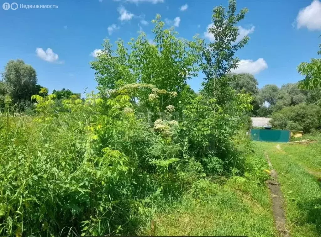 Участок в Горно-Алтайск, Родниковая улица (10 м) - Фото 0