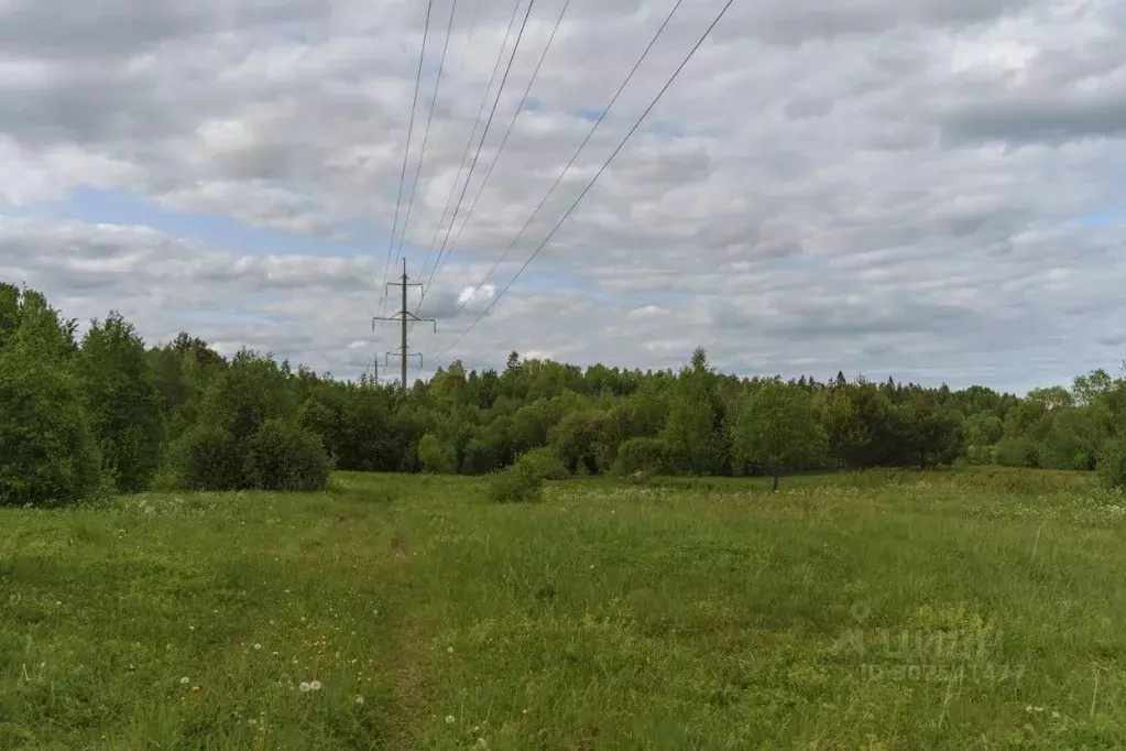 Участок в Ленинградская область, Всеволожский район, Лесколовское ... - Фото 0