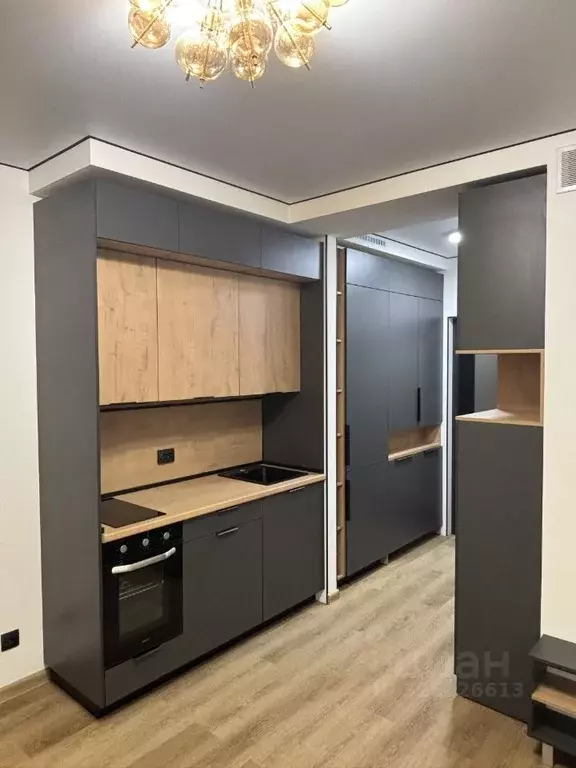 Студия Санкт-Петербург пос. Шушары, просп. Старорусский, 3к2 (20.0 м) - Фото 1