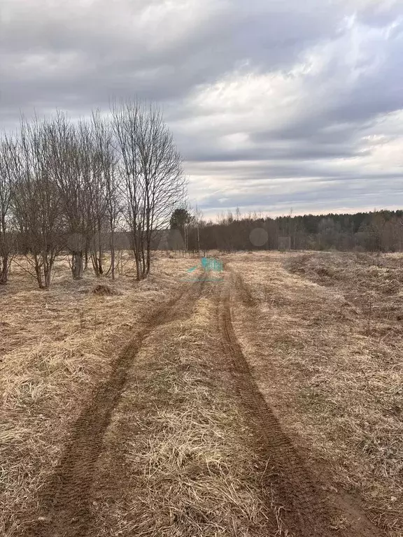 Участок 40 га (СНТ, ДНП) - Фото 0