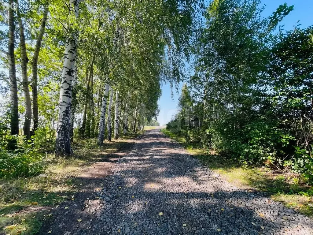 Участок в Кабаковский сельсовет, СНТ Маяк-2 (8 м) - Фото 2