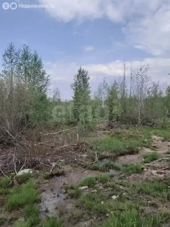 Участок в Петрозаводск, территория Древлянка-3, микрорайон ... - Фото 2