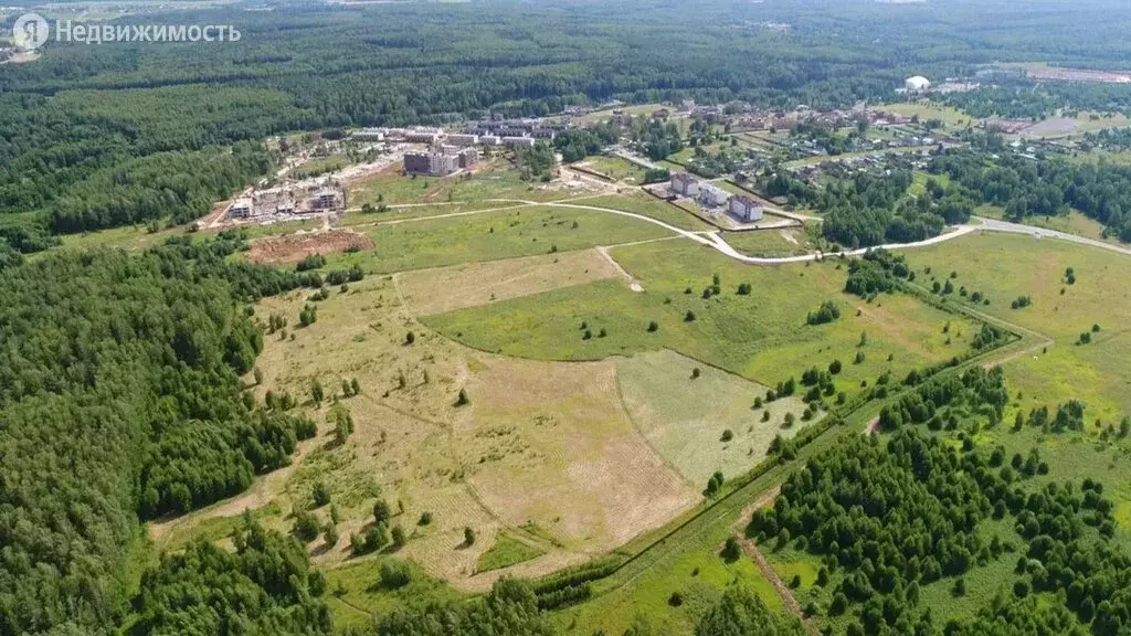 Участок в посёлок Доброград, посёлок Доброград, Сосновая улица, 15 . - Фото 1