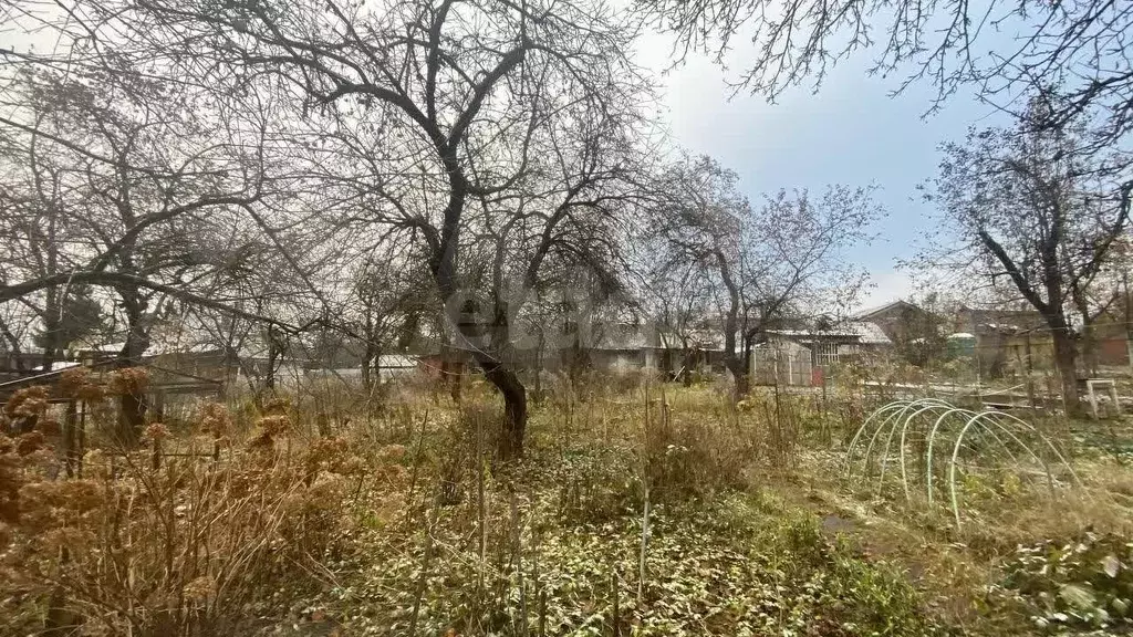 Участок 5,5 сот. (СНТ, ДНП) - Фото 1