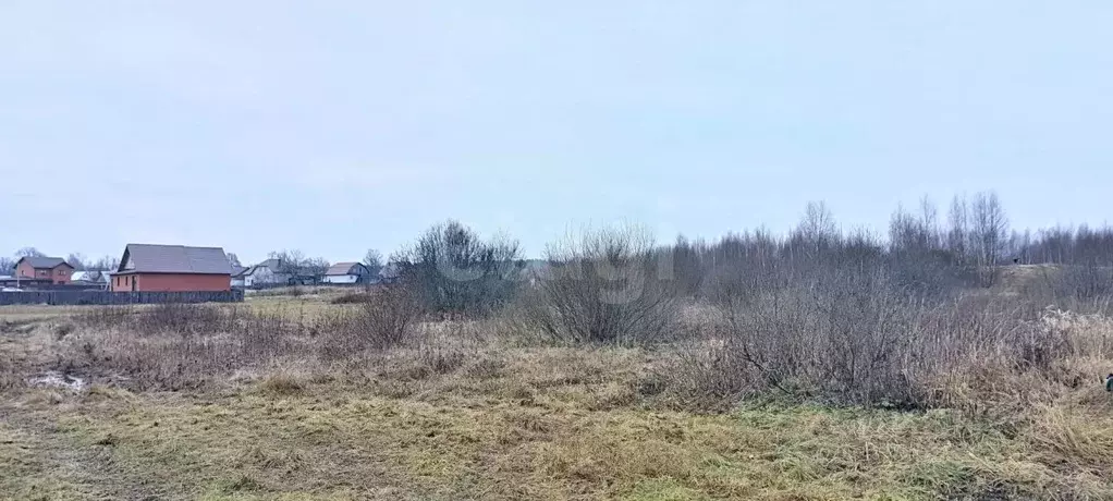 Участок в Нижегородская область, Выкса городской округ, Виля рп ул. ... - Фото 2