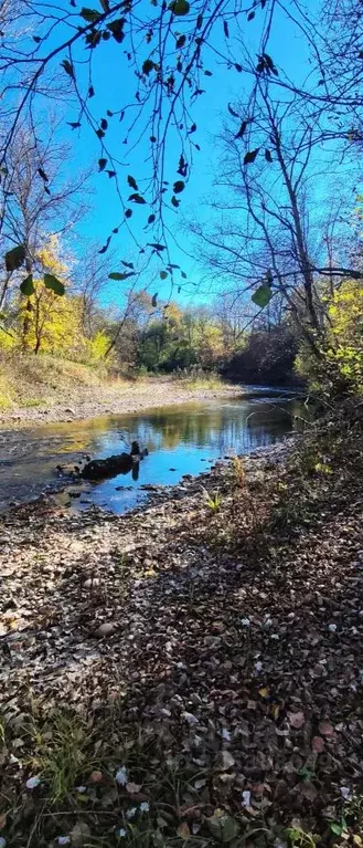 Участок в Краснодарский край, Мостовский район, Костромская ст-ца ул. ... - Фото 2