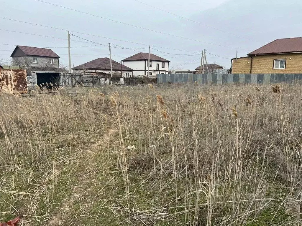 Участок в Астраханская область, Астрахань Тарник СНТ, проезд Тарный ... - Фото 1