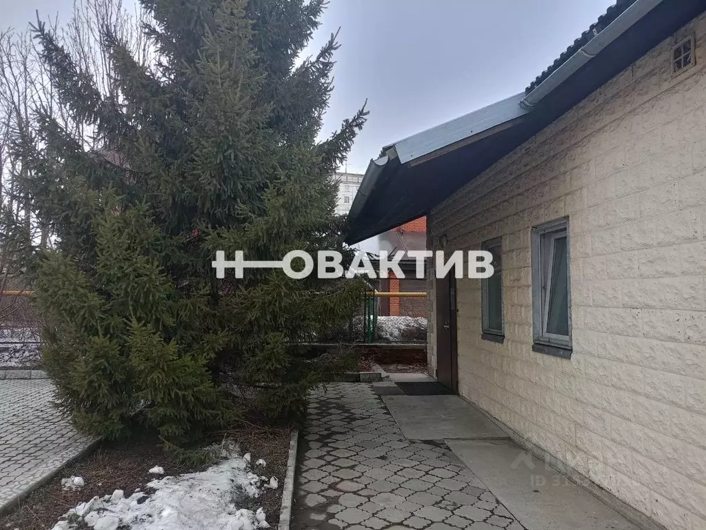 Помещение свободного назначения в Новосибирская область, Новосибирск ... - Фото 1