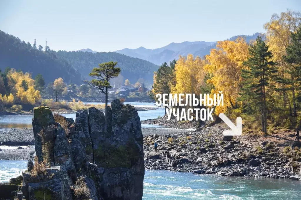Участок в Алтай, Чемальский район, Рублевка ДПК ул. Заречная, 23 ... - Фото 1
