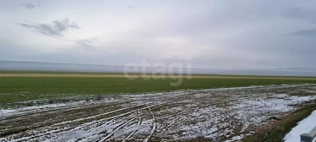 Участок в Крым, Кировский район, с. Владиславовка ул. Крымская (302.3 ... - Фото 1