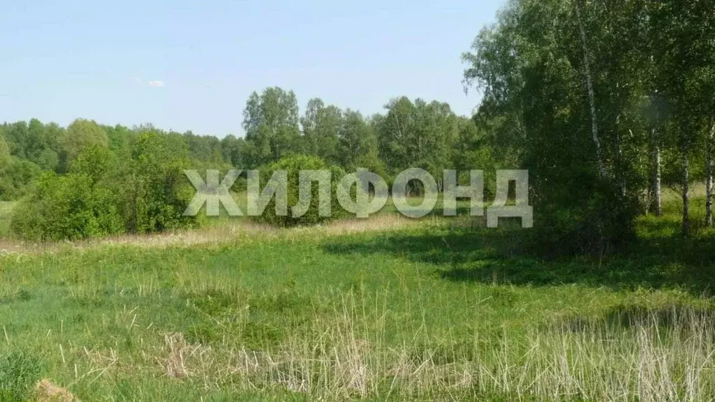 Участок в Новосибирская область, Мошковский район, Индия кп, ... - Фото 0