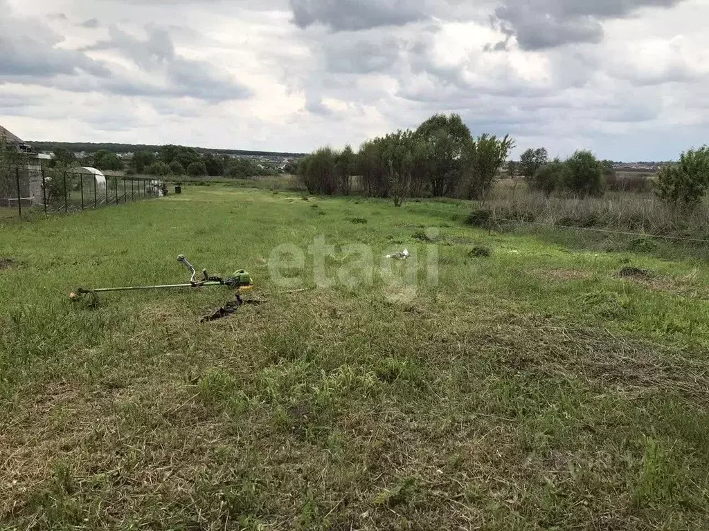 Участок в Белгородская область, Белгородский район, Беловское с/пос, ... - Фото 1