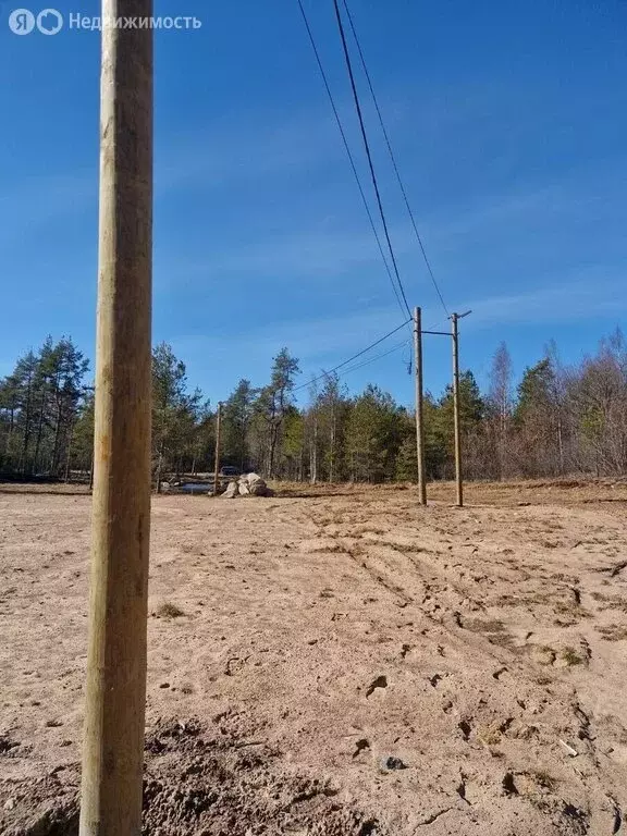 Участок в Выборгский район, Приморское городское поселение, посёлок ... - Фото 2